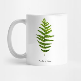 Ostrich fern watercolor Mug